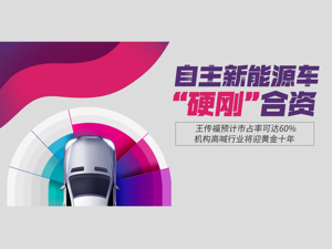 “技术已全面超越合资”，王传福称自主新能源品牌将主导市场！迎接黄金十年，一大硬伤尚待攻坚