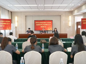 两大数据全省第一 四川自贸区法院发布自贸审判白皮书 
