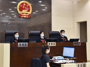 范本来了，江苏省首例证券普通代表人诉讼案一审宣判 ST辉丰被判赔偿8720万元