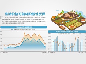 发改委：必要时将加大猪价调控