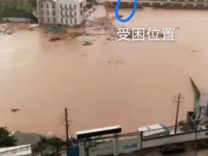 风雨无情人有情 鑫苑集团员工勇救6名受困群众