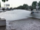 1261627133441_pic_hd.thumb_hs