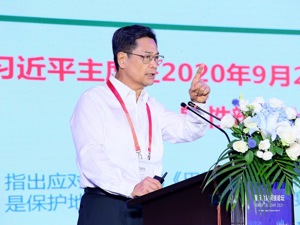 广东省原副省长陈云贤：以碳交易为载体，实现人民币国际化“弯道超车”
