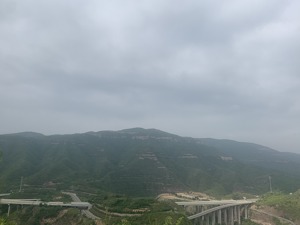 40度陡峭土石山区种出4米高树木，二十年植树造林150万亩……有了这些，“一碗水半碗沙”的黄河变样了！
