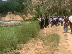 山变绿、民变富，陕北多地退耕还林找准生态保护与经济发展平衡点，种植、养殖结合让居民家庭年收入达10万元