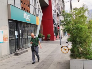 K12学科培训资本化出清 扭转应试教育正当时