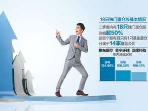 基金经理回避抱团找“黑马” 18只独门重仓股涨幅超50%