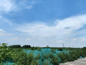 “北京市的做法”是什么？北京首批集中供地后首个项目要来了
