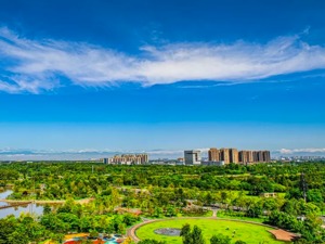 杨钒同志任中共成都市双流区委副书记