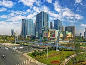 罗开敏同志任中共成都市金牛区委副书记