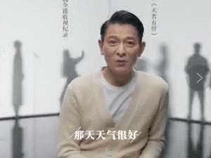 刘德华：顶流不是偶像，榜样才是
