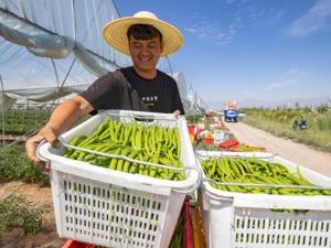 商务部：上周食用农产品和生产资料价格略有上涨