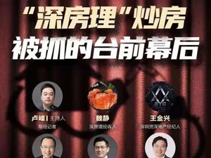 每经微博连麦当事人和专家，深度讨论深房理炒房被抓台前幕后，引19万粉丝围观