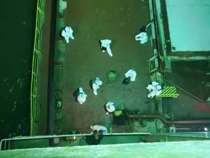 救援弘进轮：20名船员被困海上10天9夜，16人核酸检测呈阳性，9人暂留船治疗