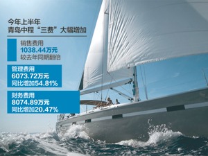 疫情导致海外成本大增 青岛中程上半年亏2000多万