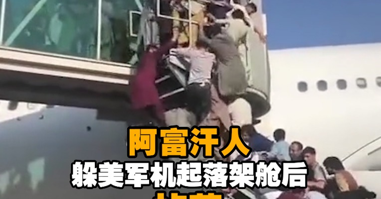 “阿富汗人躲美军机起落架舱后掉落”视频流传，有机场雇员称“是真的”