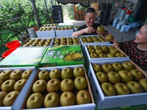 商务部：上周食用农产品和生产资料价格略有上涨