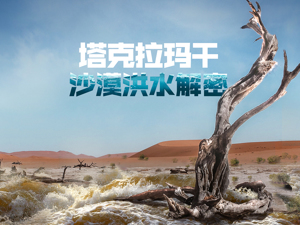 沙漠爆发洪水，降水平均每10年增加8.8毫米，60年来不断“变湿”对西北区域经济有何影响？专家为您解密……