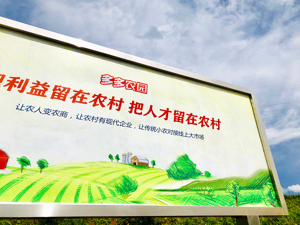 一周未来商业丨京东、拼多多Q2财报出炉；快狗打车港交所递交招股书；易快报、乐刻获新融资