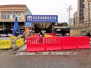 新情况！2020年发生在武汉华南海鲜市场的疫情，存在冷链引入病毒可能