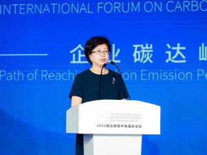 专访中华环保联合会副主席兼秘书长谢玉红：实现“双碳”目标离不开数字化