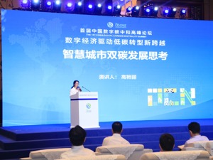 对话中国信息通信研究院产业与规划研究所总工高艳丽：数字孪生城市将以极致效率推动绿色发展
