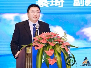专访民航专家綦琦：不能把“空中丝绸之路”简单理解成通航 临空人才稀缺是难题