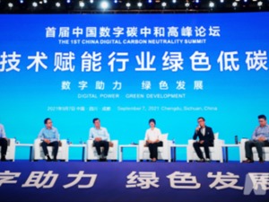 促进行业绿色低碳发展  数字技术在节能减排中存在杠杆效应