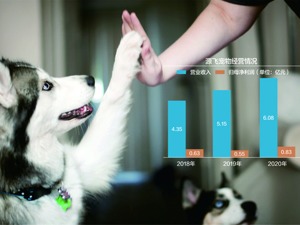 95%收入靠贴牌出口 宠物用品公司源飞宠物欲上A股
