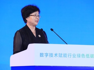 中华环保联合会副主席兼秘书长谢玉红：实现“双碳”目标离不开数字化