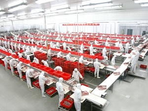 回购股份、优化管理架构，万洲国际进一步夯实行业领先优势