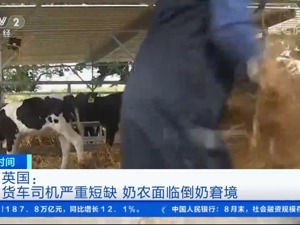 无人运奶，倒牛奶事件或再度上演！英国急缺卡车司机，年收入48万超过高管，仍缺10万人？