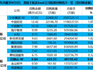 科技公司回购潮起，百融云创名列前茅：SaaS龙头彰显战略前瞻