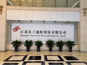 直击东方盛虹股东大会 董秘王俊：国内光伏EVA生产仍被“卡脖子”