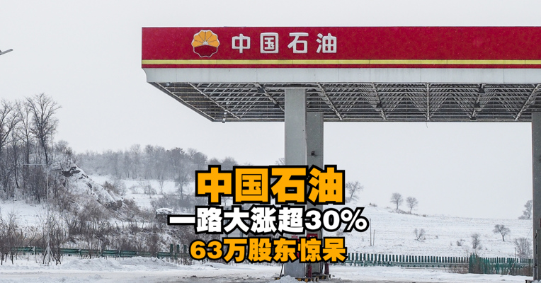 63万股东惊呆！中国石油一路大涨超30%，市值已达1.1万亿
