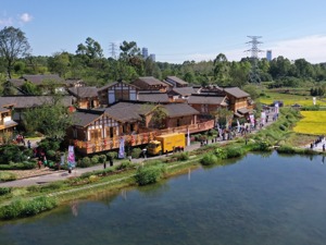 展现非遗文化、承载会展及文旅服务 天府新区官塘项目亮相
