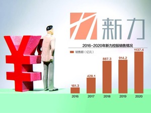 “千亿”地产新军闪崩 新力控股1天内股价下跌87%