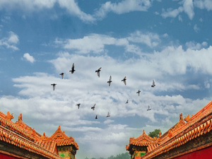 习近平在第七十六届联合国大会一般性辩论上的讲话（全文）