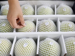 商务部：上周食用农产品价格小幅下降 生产资料价格继续上涨