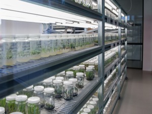 生态环境部答每经问：生物多样性是人类生存基础，具有直接、间接和潜在使用价值
