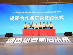 雄安新区氢能产业发展合作论坛成功举办