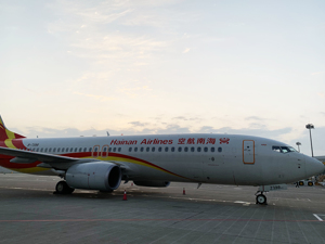 距离重整计划草案表决不到一周 海航集团宣布董事长陈峰被采取强制措施