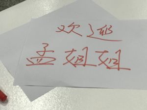现场直击丨孟晚舟今晚回国 各界人士已前往深圳机场等候她归来