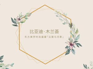 比亚迪木兰荟|爱无反顾