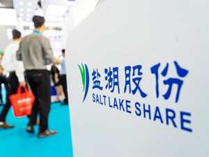 钾肥成本基本不变、售价大幅上调 恢复上市一月后盐湖股份领罚单