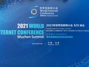 世界互联网大会见闻｜不再只依靠“流量红利”，互联网企业如何走向专而精的细分市场？