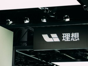 6元一片的EPB芯片，花5000元收购，单价超出市场价800倍！理想汽车否认