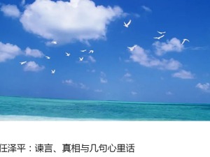 刚刚，任泽平发长文回应！