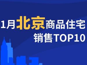 2021年1月北京商品住宅销售TOP10