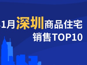 2021年1月深圳商品住宅销售TOP10
